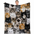 [Back to School] Cute Cat Animal Blanket 60''x80'' - 100% Polyester Flannel Throwblanket, Breathable Cozy Soft Blanket, Adorable Kitten Collage Design, Pet Lover Gift for Teens, Holiday Gift for Bed Couch Bedroom